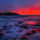 Image for article titled A Classic American Lighthouse Is Looking Glamorous This Christmas